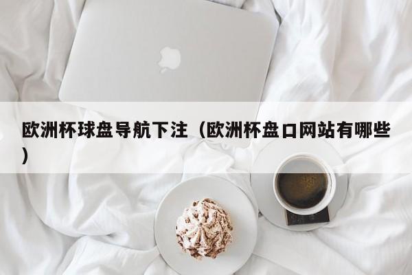 欧洲杯球盘导航下注（欧洲杯盘口网站有哪些）