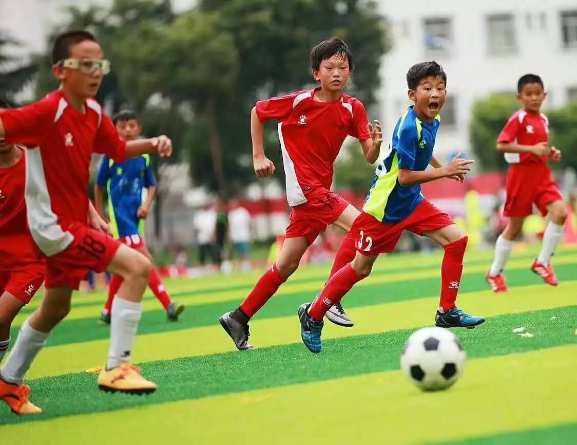 中央1台现场直播观看（中央1台现场直播）