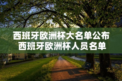 2、国际足联已宣布了2008年欧洲足球锦标赛的最佳阵容